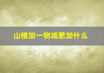 山楂加一物减肥加什么