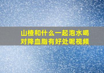 山楂和什么一起泡水喝对降血脂有好处呢视频