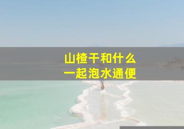 山楂干和什么一起泡水通便