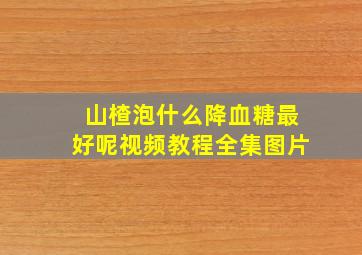 山楂泡什么降血糖最好呢视频教程全集图片