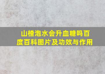 山楂泡水会升血糖吗百度百科图片及功效与作用