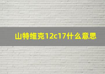 山特维克12c17什么意思