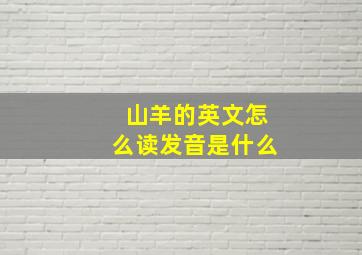 山羊的英文怎么读发音是什么