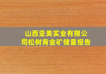 山西亚美实业有限公司松树背金矿储量报告