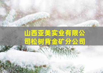 山西亚美实业有限公司松树背金矿分公司