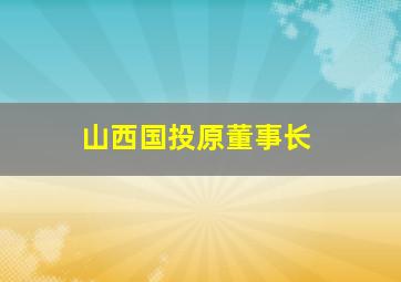 山西国投原董事长