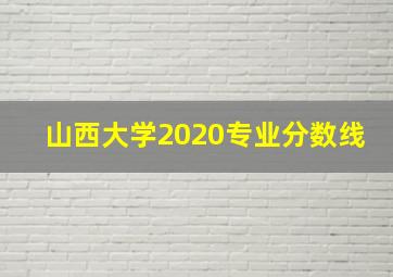 山西大学2020专业分数线