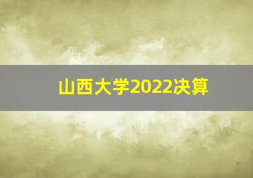 山西大学2022决算