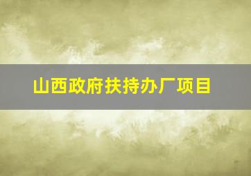 山西政府扶持办厂项目