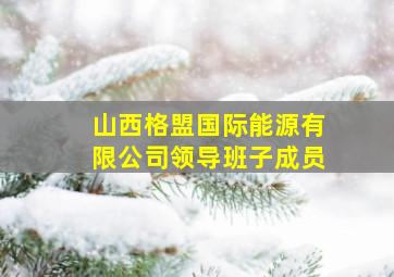 山西格盟国际能源有限公司领导班子成员