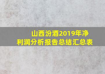 山西汾酒2019年净利润分析报告总结汇总表