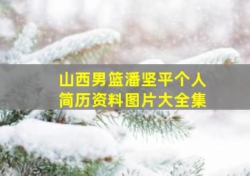 山西男篮潘坚平个人简历资料图片大全集