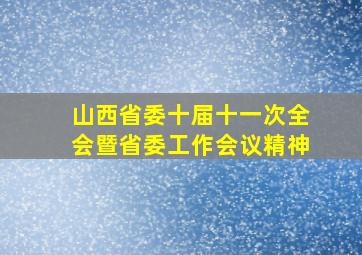 山西省委十届十一次全会暨省委工作会议精神