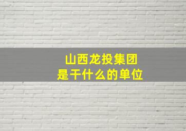 山西龙投集团是干什么的单位