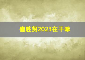 崔胜贤2023在干嘛