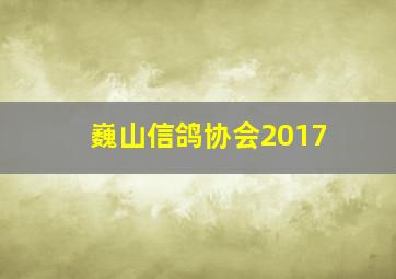 巍山信鸽协会2017