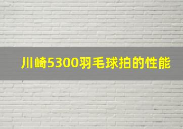 川崎5300羽毛球拍的性能