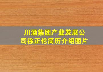 川酒集团产业发展公司徐正伦简历介绍图片