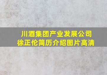 川酒集团产业发展公司徐正伦简历介绍图片高清