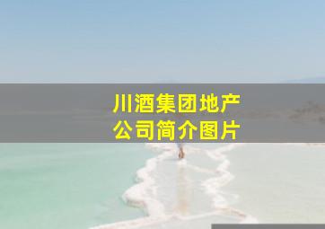 川酒集团地产公司简介图片