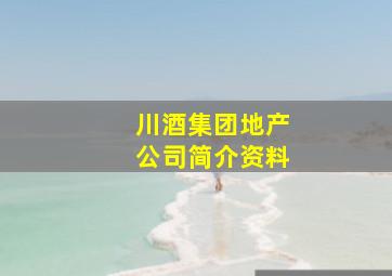 川酒集团地产公司简介资料