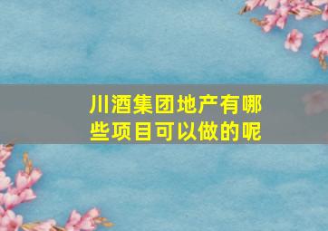 川酒集团地产有哪些项目可以做的呢