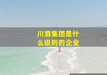 川酒集团是什么级别的企业