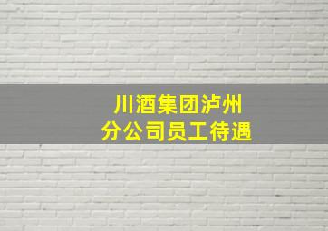 川酒集团泸州分公司员工待遇