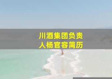 川酒集团负责人杨官容简历