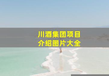 川酒集团项目介绍图片大全