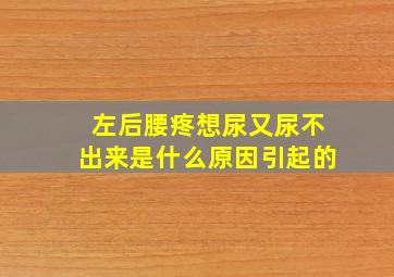 左后腰疼想尿又尿不出来是什么原因引起的