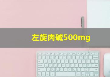 左旋肉碱500mg