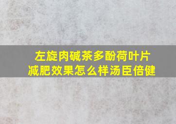 左旋肉碱茶多酚荷叶片减肥效果怎么样汤臣倍健