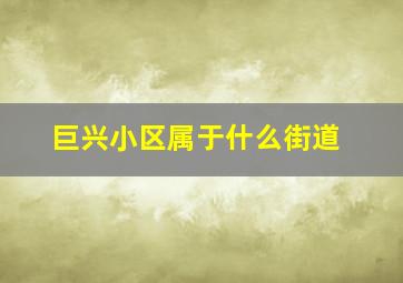 巨兴小区属于什么街道