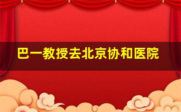 巴一教授去北京协和医院