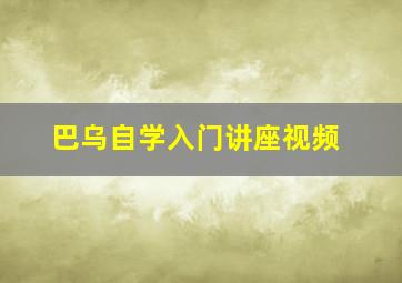 巴乌自学入门讲座视频