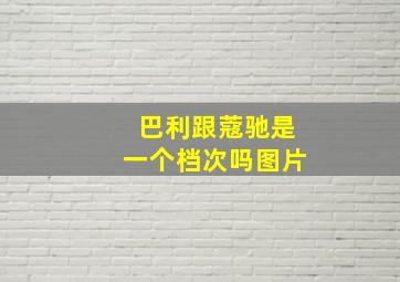 巴利跟蔻驰是一个档次吗图片