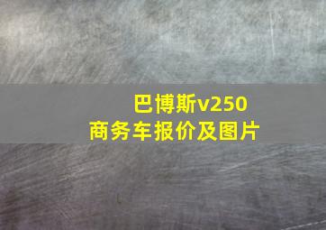 巴博斯v250商务车报价及图片