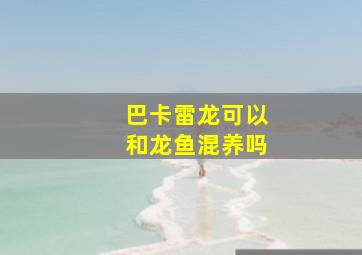 巴卡雷龙可以和龙鱼混养吗