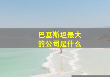 巴基斯坦最大的公司是什么