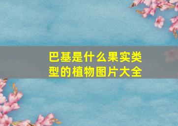 巴基是什么果实类型的植物图片大全