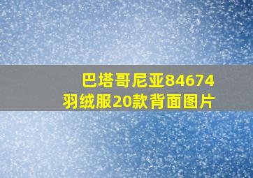 巴塔哥尼亚84674羽绒服20款背面图片