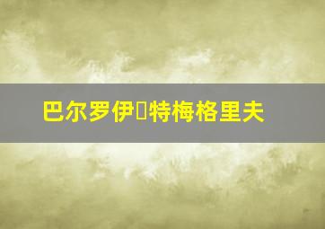 巴尔罗伊・特梅格里夫