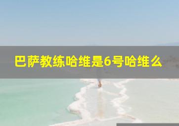 巴萨教练哈维是6号哈维么