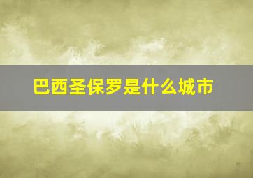 巴西圣保罗是什么城市