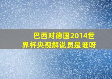 巴西对德国2014世界杯央视解说员是谁呀