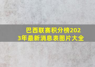 巴西联赛积分榜2023年最新消息表图片大全