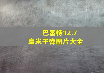 巴雷特12.7毫米子弹图片大全