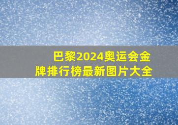 巴黎2024奥运会金牌排行榜最新图片大全