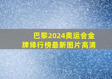 巴黎2024奥运会金牌排行榜最新图片高清